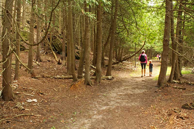 trail on the overlook ridge